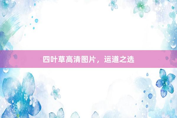 四叶草高清图片，运道之选