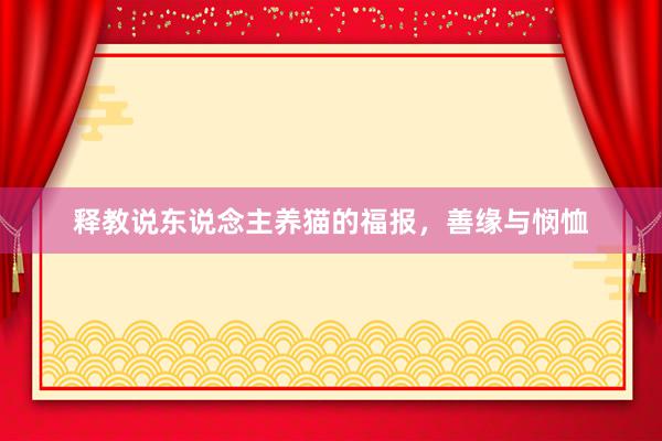 释教说东说念主养猫的福报，善缘与悯恤