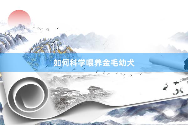 如何科学喂养金毛幼犬