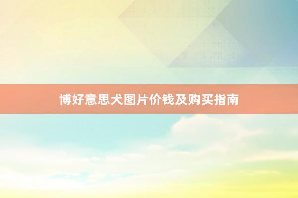 博好意思犬图片价钱及购买指南